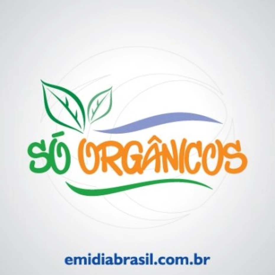 Foto 7:  — Registro de Marcas e Patentes